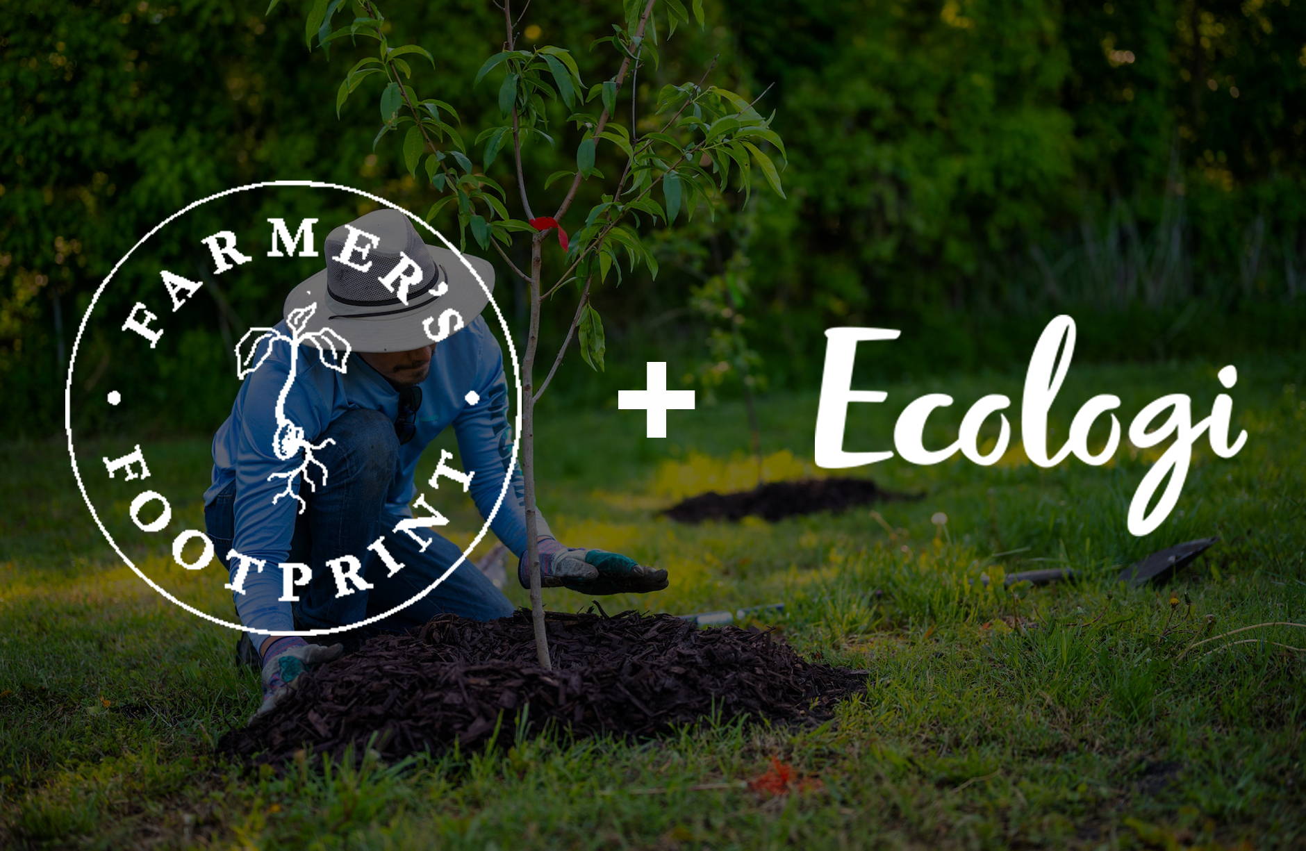 Rowland Earthing Organic Earthing Sheet UK